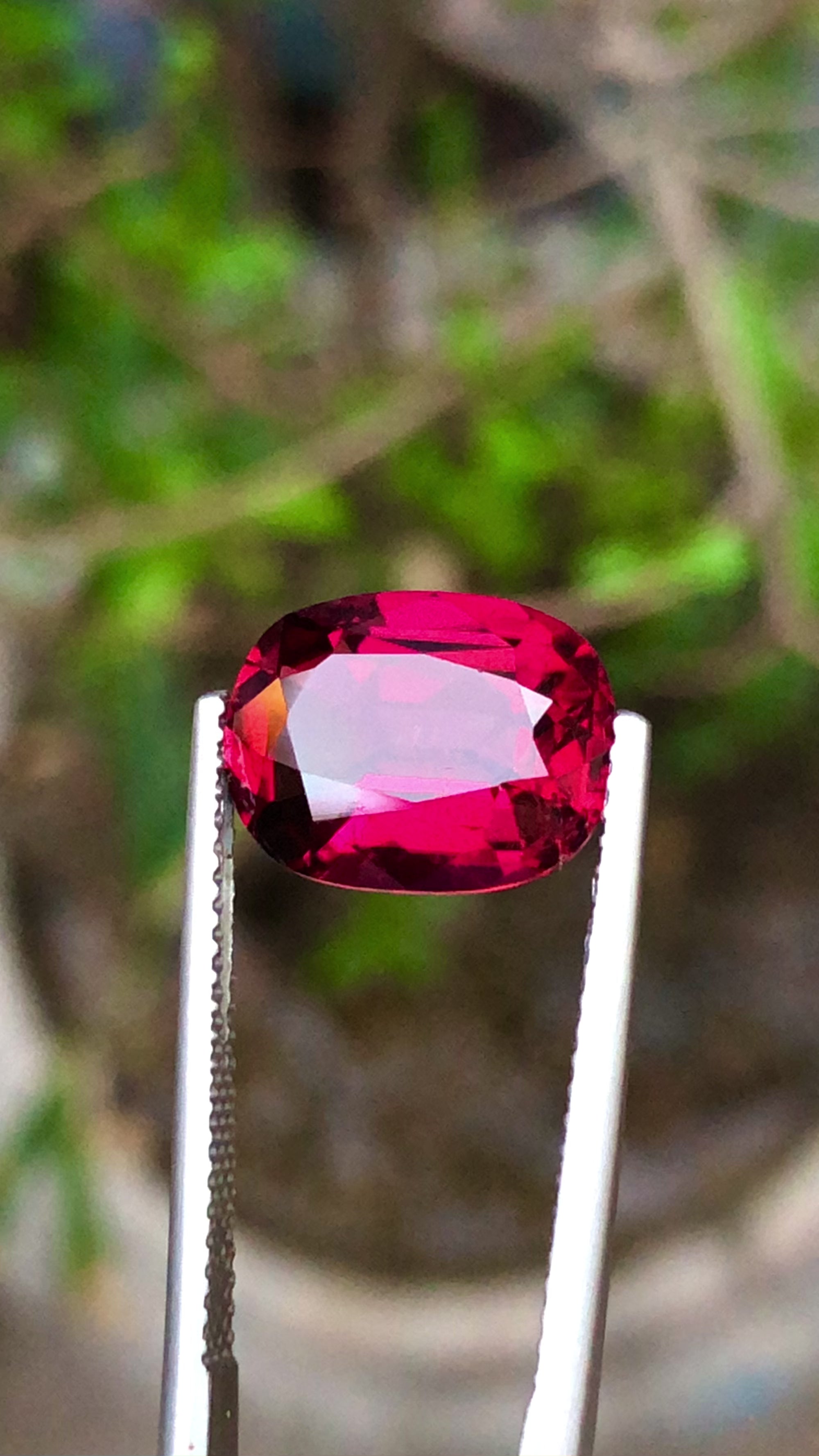 Rubellite Tourmaline